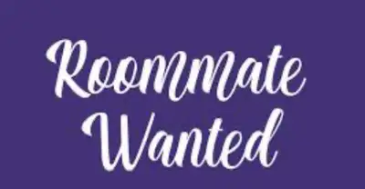 roommate wanted