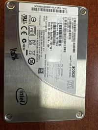 Intel SSD 710 series 300Gb