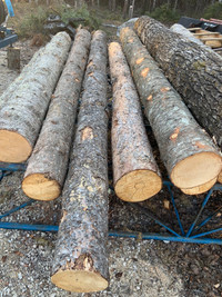 Wood poles/ post