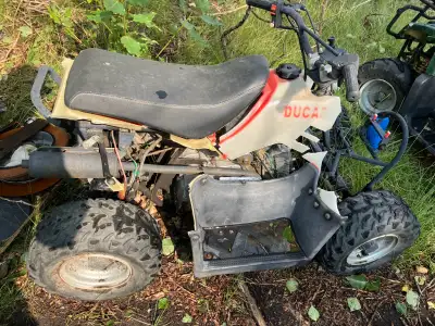 Small kids quad. Fixer upper. Does not run. Needs TLC!