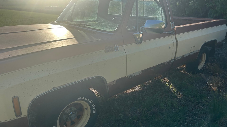 Chevrolet C/K Pickup 1500 1980 photo 4