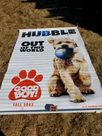 Hubble Movie Banner