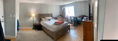 Furnished Spacious Bachelor-prime location