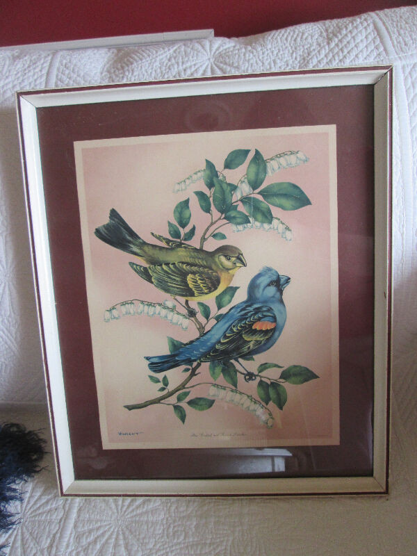 Cadre vintage  oiseaux  Litho in USA dans Décoration intérieure et accessoires  à Lac-Saint-Jean - Image 4