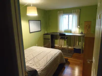Private furnished bedroom (with lock) on top floor (10 X 12 plus closet) for a serious single male s...