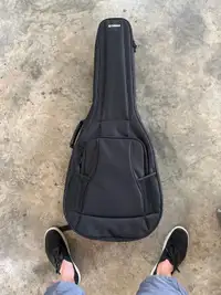 Semi hard guitar case