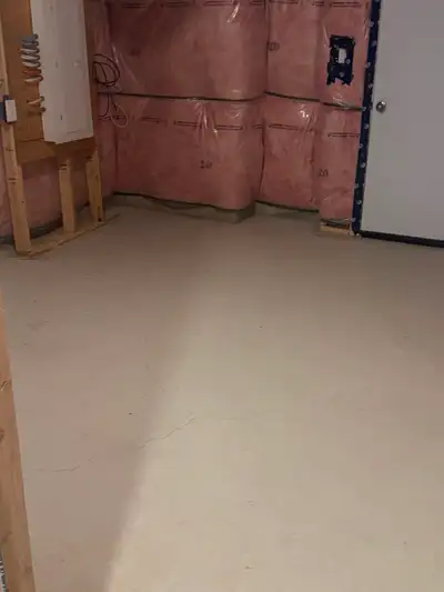 Unfinished basement, very reasonable family living at the top of the house. Can use washroom and kit...