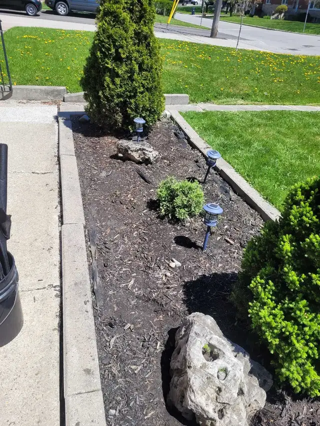landscaping & lawn maintenance  in Lawn, Tree Maintenance & Eavestrough in City of Toronto - Image 8