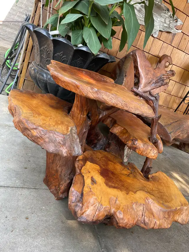 Unique Teak Root Display Stand in Outdoor Décor in Kamloops - Image 3