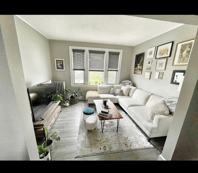 Olde Walkerville/Apartment/2 BD/1BA Long Term Rentals Windsor