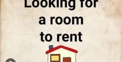 kerala couples looking for rent