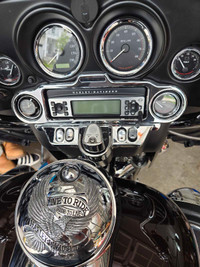 Harley Davidson OEM Stereo w/Bluetooth adapter and Factory Speak