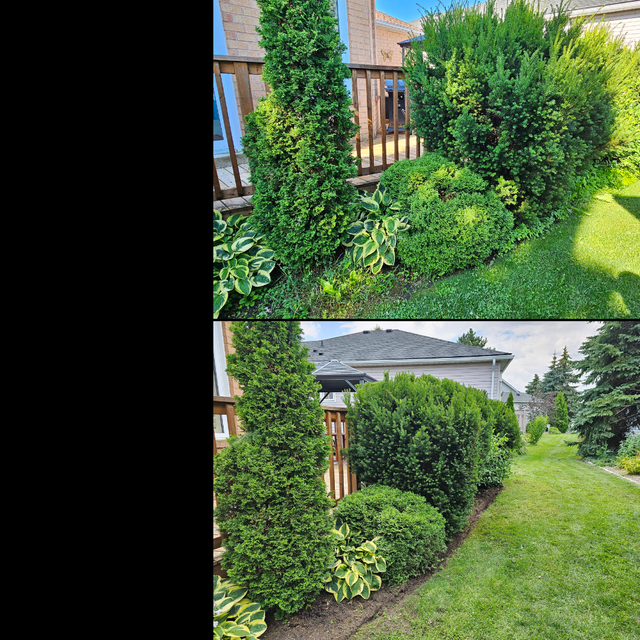 Gardening - Overgrowth Removal - Mulching - Trimming & More in Other in St. Catharines - Image 10