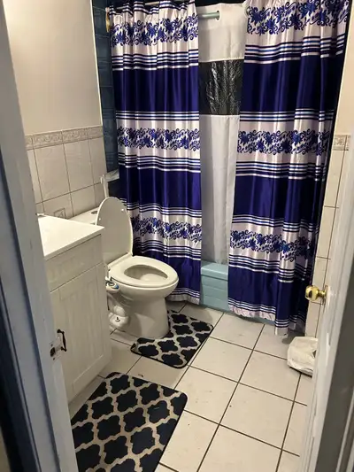 Furnish one bedroom available for January 1st, View more