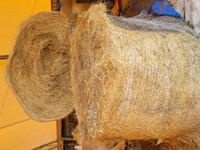 Cattle hay