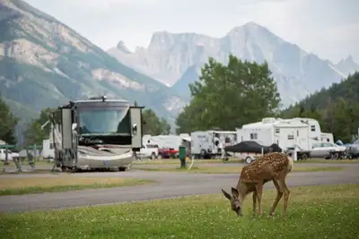 Camping - Waterton Town Campsite, View more