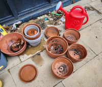 Garden Plant pots used