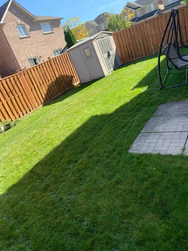Grass cutting service in Peel and Halton region in Lawn, Tree Maintenance & Eavestrough in Mississauga / Peel Region - Image 6