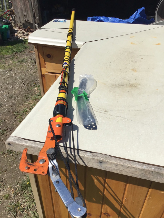 Tree trimmer  in Outdoor Tools & Storage in Chatham-Kent