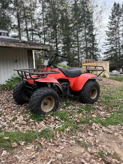 Suzuki lt125 runs and drives. 4 speed semi auto with reverse. Needs needle and seat or whole carb ju...