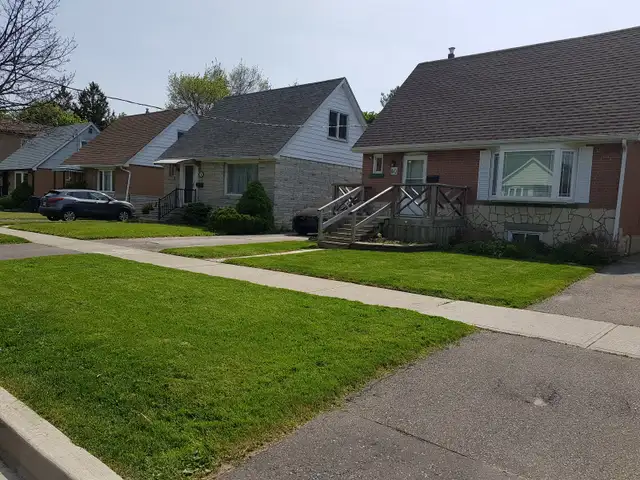 Sabai Lawn Inc. - Specialized Lawn Service Passes (Res. & Com.) in Lawn, Tree Maintenance & Eavestrough in City of Toronto - Image 10