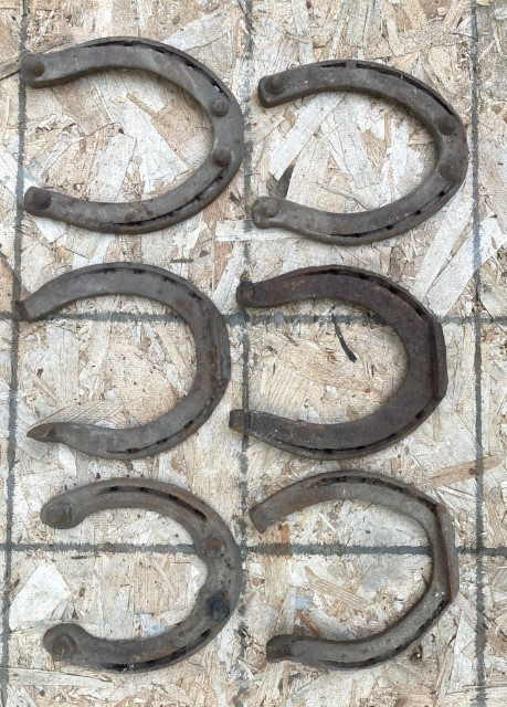 Horse Shoes in Other in Regina