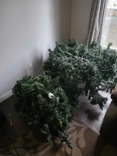 Free Christmas Tree, View more