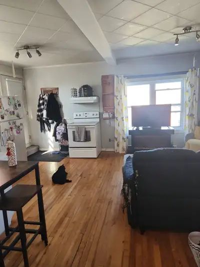 3 1/2 available for rent July 1st