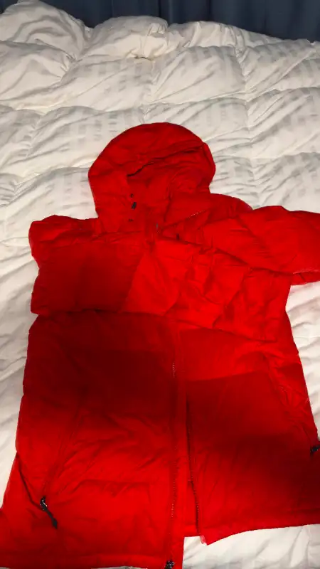 Men's Eddie Bauer First Ascent Stormdown 800 Hooded Jacket Red S in Men's in City of Toronto - Image 3