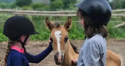 Summer Horse Camp - Spots available in July and August - Full day or Half day Silver Creek Ranch off...