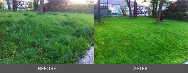 HTC Local Lawn Care in Other in Oshawa / Durham Region - Image 3