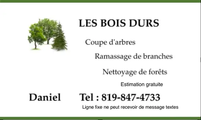 Service