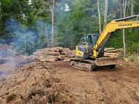 EXCAVATION AND LUMBER JACKING SERVICES