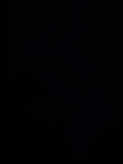 ISO calico kitten , View more