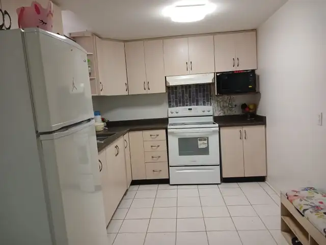 1 Bedroom Basement Heart of Springdale (Couples/ females only)