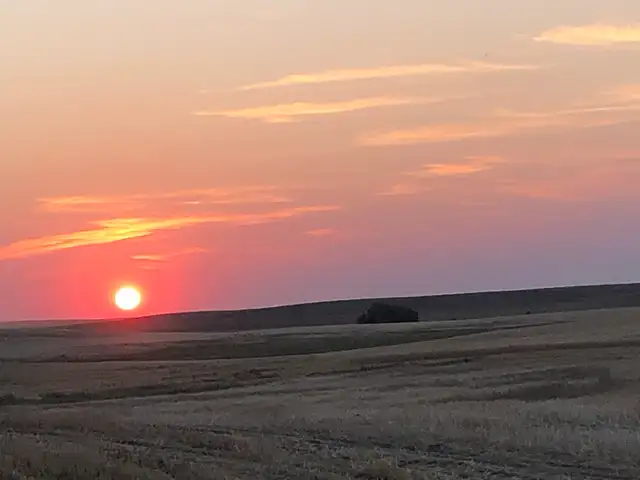 General Farm Labouer Abbey/Hazlet Area in General Labour in Swift Current - Image 2
