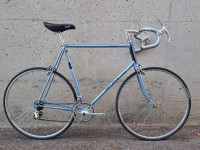 Miyata 710 - Vintage Japanese Road Bike - Campagnolo - XL 62cm