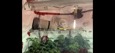 Hydroponic equipment for sale for sale, View more