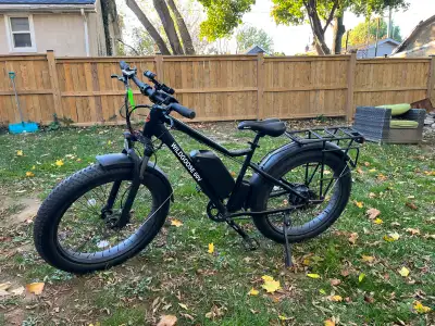 Daymak Wild Goose 60v LIKE NEW, View more
