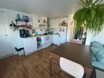 455 Preston Street for Rent
