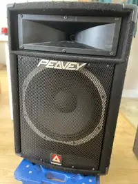 Peavey sp5xl, Loud Speaker, 700W