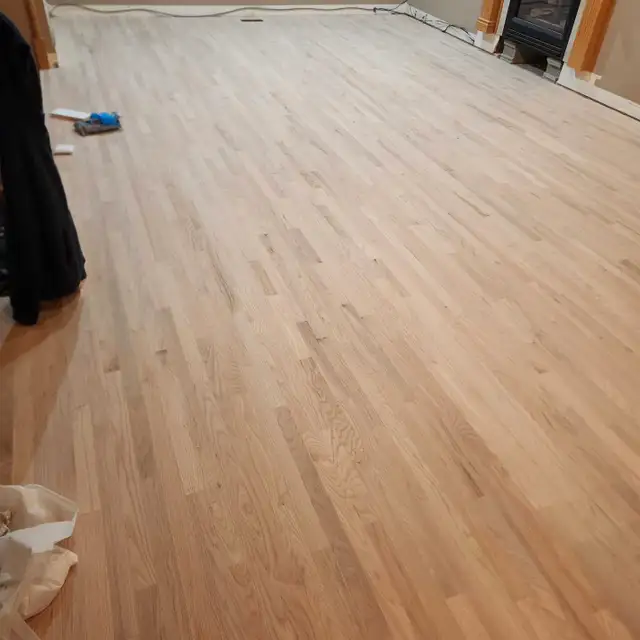 Floor sanding62864741728001124