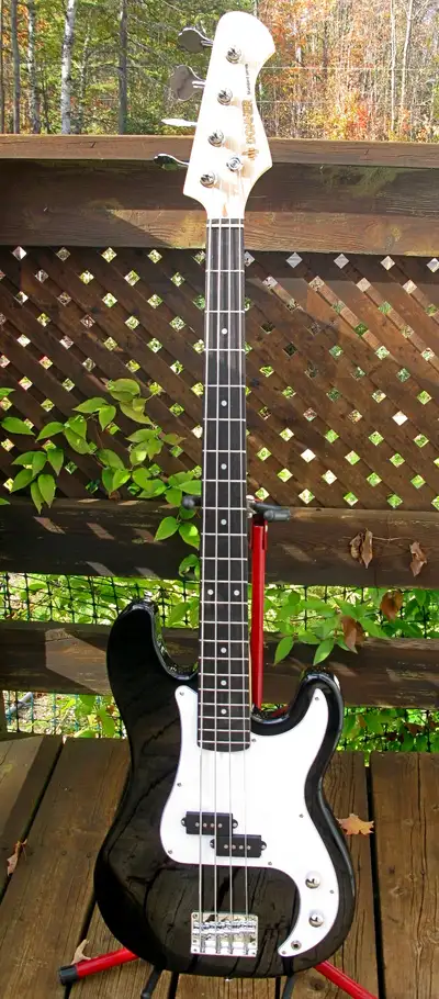 Donner DPB-510D Electric Bass Guitar 4 Strings, View more