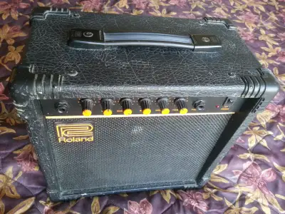Roland DAC-10 Guitar Amp, View more