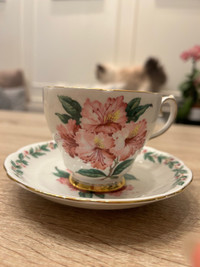 Gladstone tea cup and saucer Pink azalea teacup England