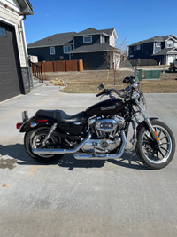 2011 Harley Davidson sportster XL 1200 L