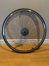 Alexrims bike rim+Shimano cassette+Cycleops 700x23C trainer tire