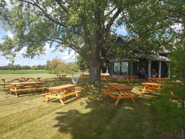 Picnic Tables For Rent  in Wedding in Markham / York Region - Image 3