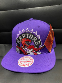 Toronto Raptors Mitchell & Ness Hat