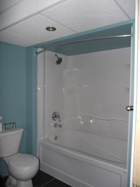 Basement and Bathroom Renovations